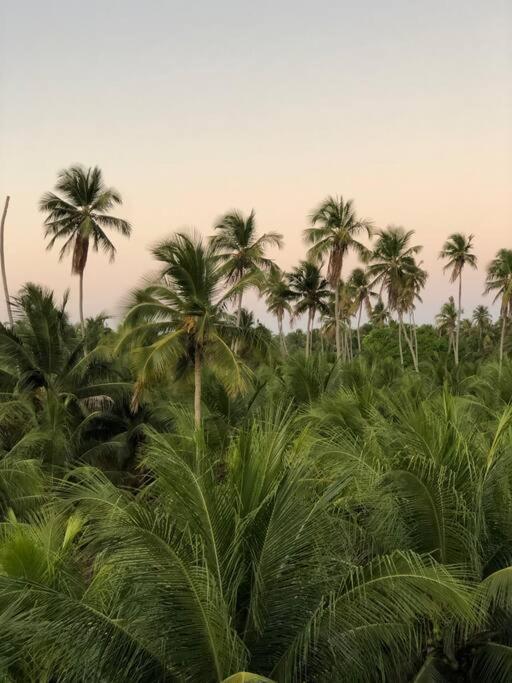 Recanto Dos Coqueirais เซามิเกลโดสมีลาเกรส ภายนอก รูปภาพ
