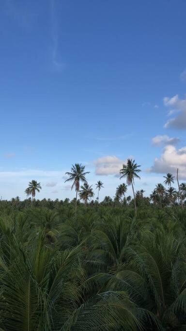 Recanto Dos Coqueirais เซามิเกลโดสมีลาเกรส ภายนอก รูปภาพ